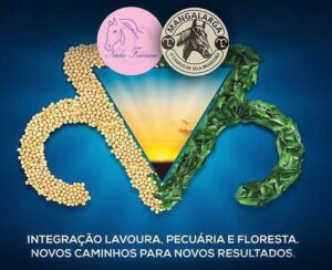 Copa Mangalarga na Expozebu - Arte