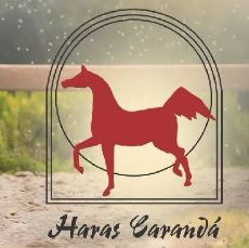 Haras Carandá