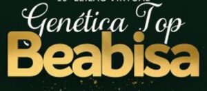 Leilão Genetica TOP Beabisa