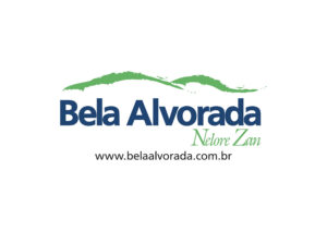 Logo Bela Alvorada 2013