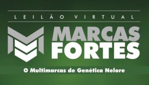 Marcas Fortes Leilão