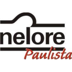 Nelore Avaré