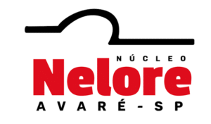 Nucleo Nelore Avaré