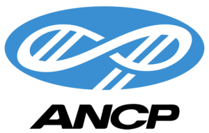 logo-ancp-800